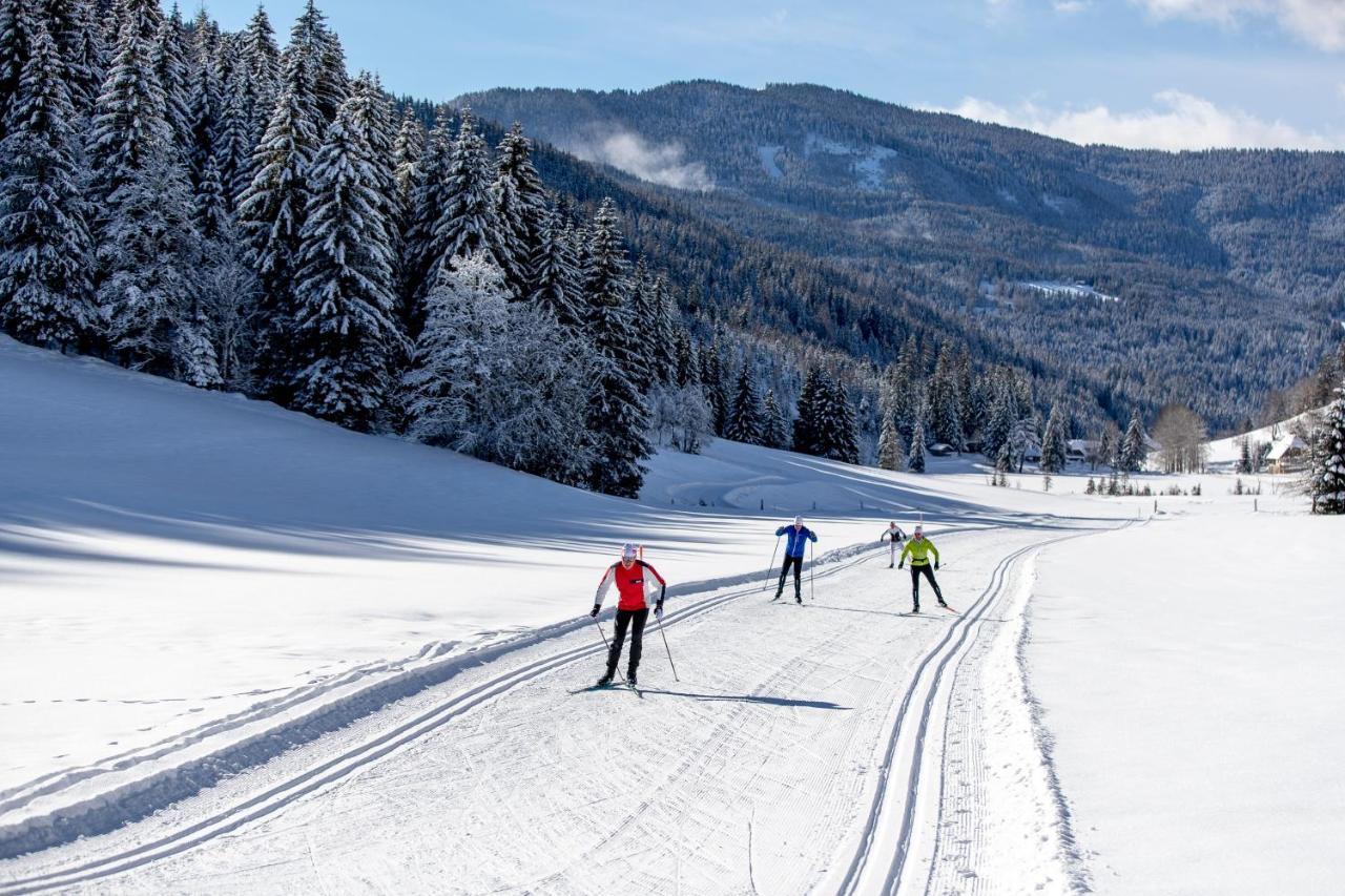 Naturpark Huette Mandl, Biobauernhof & Huettenurlaub Санкт-Ламбрехт Экстерьер фото