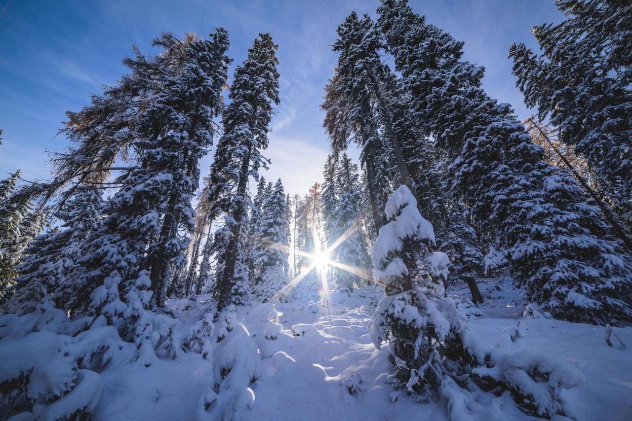 Naturpark Huette Mandl, Biobauernhof & Huettenurlaub Санкт-Ламбрехт Экстерьер фото