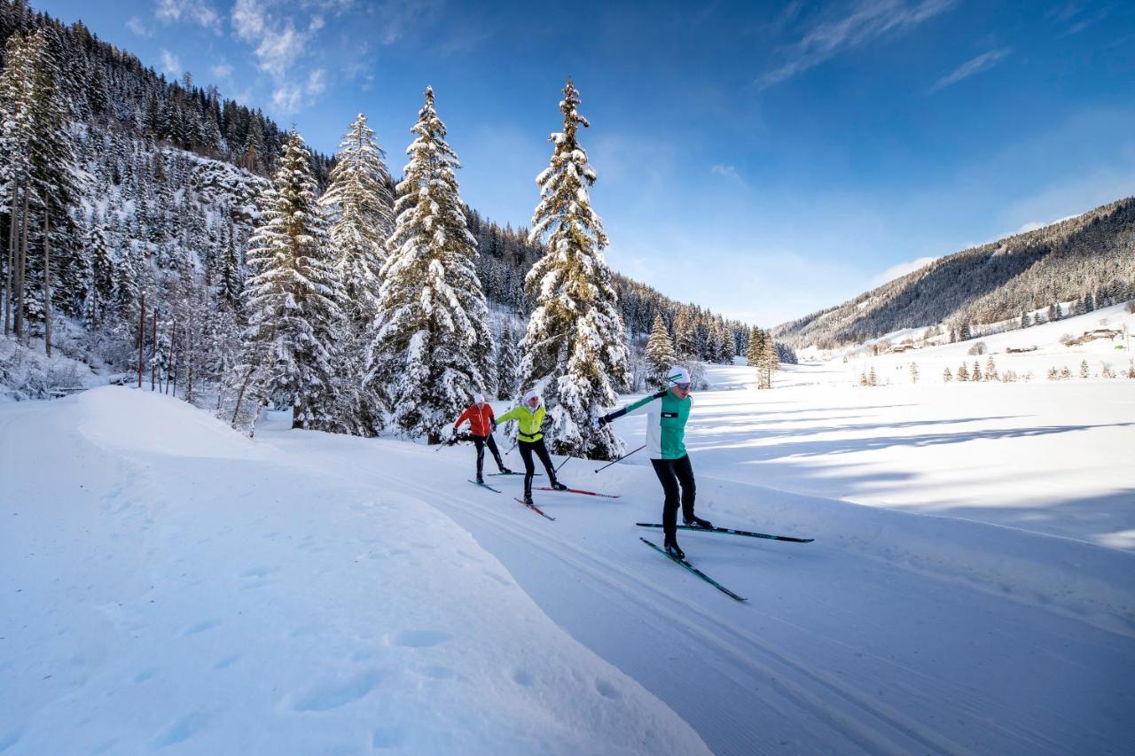 Naturpark Huette Mandl, Biobauernhof & Huettenurlaub Санкт-Ламбрехт Экстерьер фото