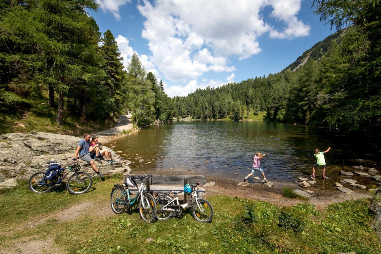 Naturpark Huette Mandl, Biobauernhof & Huettenurlaub Санкт-Ламбрехт Экстерьер фото